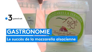 La Mozzarella alsacienne du domaine des Bufflonnes [upl. by Udenihc]