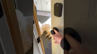 How to use the Yale Assure 2 Smart Lock with wifi for short term rentals and airbnbs [upl. by Natye357]