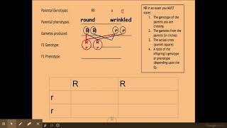 612 Patterns of inheritance bi Monogenic inheritance [upl. by Garbers]