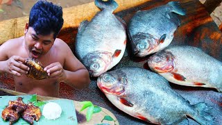 Cooking Red Belly Piranha Fish Recipe  Cook Piranha Fish for Food eat with Rice [upl. by Tnattirb]