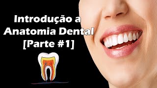 Introdução à Anatomia Dental  Faces e Divisão Anatômica dos Dentes  Parte 1 [upl. by Naihtsirc]