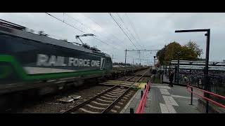 omgeleide goederen trein komt door station deurne trainspotting train railway [upl. by Michell]