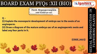 Explain the monosporic development of embryo sac in the ovule of an angiospermii Draw a diagram [upl. by Nolyak]