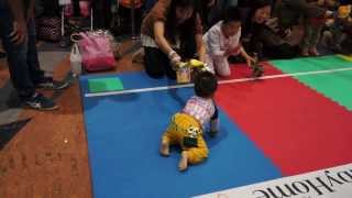 20131019 2013 BabyHome Baby Run爬行比賽 [upl. by Frasquito740]