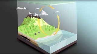 The carbon cycle [upl. by Bravin]