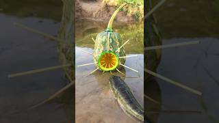 Survival Skills Simple and Useful with Pumpkin Fish trap survival bushcraft outdoors shrots [upl. by Egarton397]