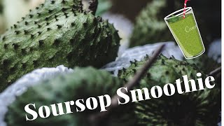 Soursop Smoothie  Healthy Recipes [upl. by Aerdied]