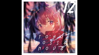 ShibayanRecords  TOHO BOSSA NOVA 12 Full album [upl. by Notsgnik158]