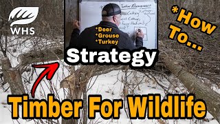 How To Wildlife Timber Management [upl. by Desdamona]