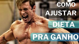 COMO AJUSTAR UMA DIETA PRA GANHO paulomuzy treino academia [upl. by Nosemaj537]