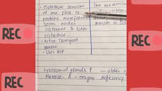 Vesicular transport VS Cisternal maturation model [upl. by Riegel]