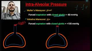 2 Intrapleural pressure [upl. by Howland]