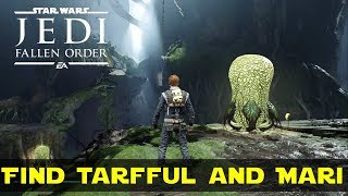 Find Tarfful and Mari in Kashyyyk  Star Wars Jedi Fallen Order [upl. by Egdamlat]