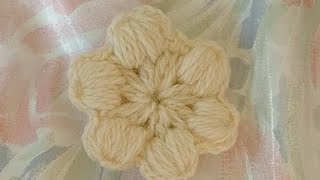 Tutorial de crochet 6 Patel big puff flower para principiantes [upl. by Brendis]