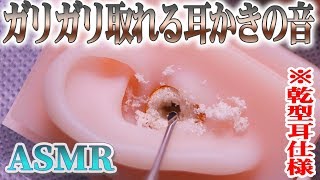 【ASMR】ゴッソリ取れるリアルなガリガリ耳かき♡“乾型耳仕様”ステンレス耳かきで深く鼓膜まで耳掃除の音♪両耳同時【音好き】DIYのシリコン疑似耳バイノーラルマイクを使用（左右回転あり〼） [upl. by Ycniuqal745]