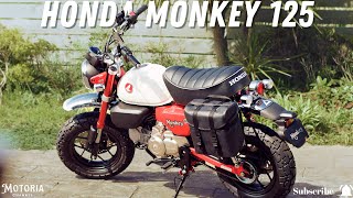 2024 Honda Monkey 125 The Adorable MiniBike Legend Returns  Classic Style Modern Fun [upl. by Ordisy]