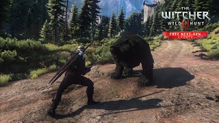 The Witcher 3 Wild Hunt  Next Gen BEST MODS [upl. by Naivad]