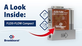 A Look Inside FLEXIFLOW Compact  Mass Flow Meters and Controllers for Gases [upl. by Roi]