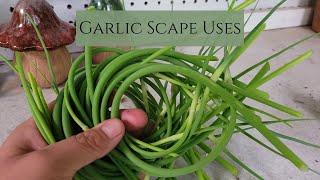 5 Different Ways to use Garlic Scapes [upl. by Iidnarb154]