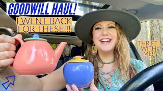 THEY WERE WORTH EVERY CENT  Goodwill Haul  Thrift With Me  Thrift Haul [upl. by Notnel]