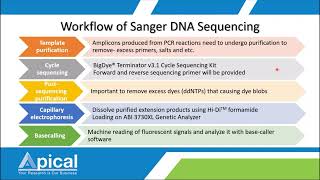 Apical Webinar DNA Sanger Sequencing amp AO2 [upl. by Jann]