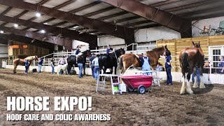 EVERYTHING DRAFT HORSE Part 2  Colic And Laminitis Prevention And Awareness [upl. by Enyedy]