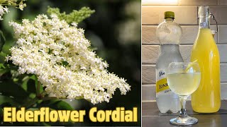 Elderflower Cordial Easy Recipe [upl. by Reeva173]