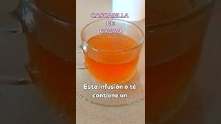 Está infusión o té de cascarilla de CACAO tiene propiedades únicas y no lo sabías cacao chocolate [upl. by Tinor]