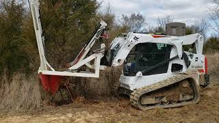 Bobcat T650 tree spade spading amp moving cedar trees IL Homestead [upl. by April]