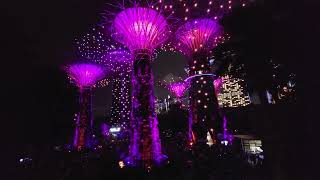 Gardens by the bay Singapore [upl. by Eilhsa]