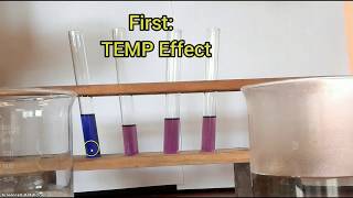 Chem Equilib Cobalt Chloride Temp amp Conc Effects [upl. by Llebiram]