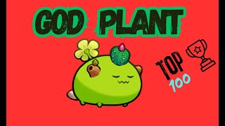 MID GOD PLANT TOPP 100 [upl. by Randy938]