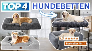 Beste HUNDEBETTEN 2024  Top 4 Hundebetten Vergleich [upl. by Jorie885]