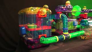 Gerbil Cage Kaytee CritterTrail Village for Gerbils Mice or Hamsters includes Burrowing Maze [upl. by Thenna]