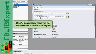 Tutorial 6 IBExpert Database Comparer [upl. by Nylesoy550]