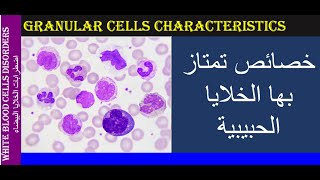 Lecture 3 2 Granular Cells Characteristics [upl. by Steffen]