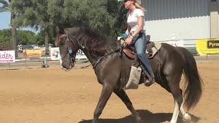 How To Ride A Tennessee Walking Horse [upl. by Odnalo]