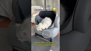 Automatic litter box CatProducts catcatlitterbox Petproducts couple neakasa Raisecats [upl. by Nymassej]