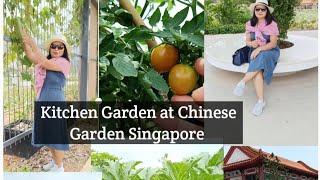 Stoneboat at Jurong Lake Gardens and Kitchen Garden at Chinese Gardens Singapore [upl. by Rednal]