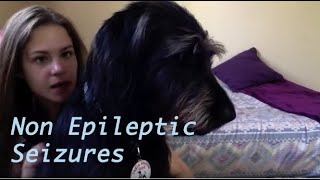 PNES Non Epileptic Seizures What is itMy story [upl. by Neala]