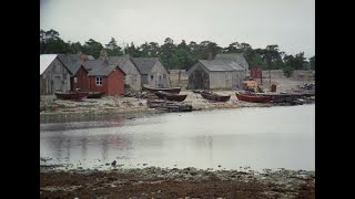 Fårö Document 1970clip [upl. by Ahseenat89]