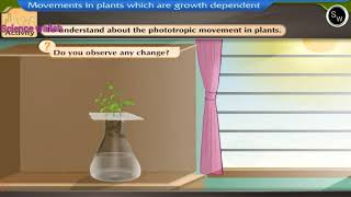 To understand about phototrophic movement plants  Class 10 Biology sciencewallah267 [upl. by Ehudd]