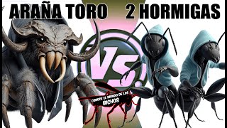 ARAÑA TORO VS DOS HORMIGAS [upl. by Iolande358]