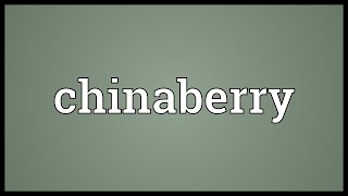 Chinaberry Meaning [upl. by Lodie]