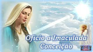 🙏🏻Ofício da Imaculada Conceição 😇Irmã Kelly Patricia😇 [upl. by Tremml]