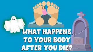 What happens to your body after you die  The Stages of Human Decomposition  Video for kids [upl. by Inaffit]