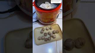 UPDATE BLACK GARLIC BUATAN NENG RARAH HARI KE 3 [upl. by Etezzil]