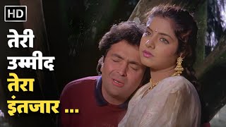 Teri Umeed Tera Intezar  Kumar Sanu Sadhna Sargam  Divya Rishi Kapoor  Deewana Romantic Song [upl. by Aikyt]