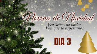 NOVENA DE NAVIDAD  DIA 3 P GUSTAVO JAMUT OMV [upl. by Chally]