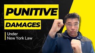 Can You Get Punitive Damages [upl. by Oirretna]